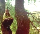 Andi in tree