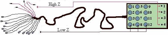 [The Snake]