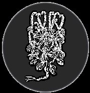 Garden Of Delights Logo