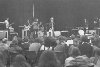 crowd action