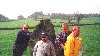 Reunion 2000 #2