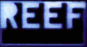 reef