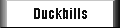Enlace Duckbills
