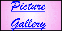 Picture Gallery