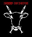 SHEEP ON DRUGS