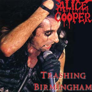 The frontcover of Trashing Birmingham