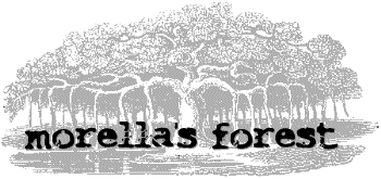 morella's forest