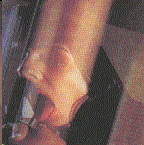 Smack My Bitch Up 4
