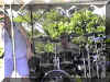 Image36.JPG