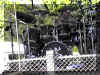 Image40.JPG