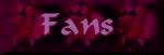 The Fans Remember