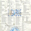 Ligabue