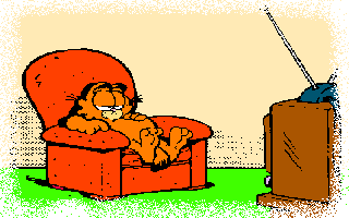 The Pilot of the Airwaves at home. (Garfield lounging in front of the TV.)