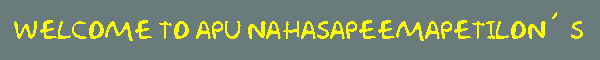 Welcome to Apu Nahasapeemapetilons