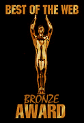 Bronze Award!