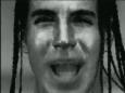 giveitaway.jpg (2282 bytes)