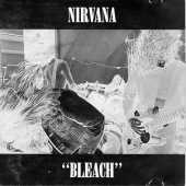 bleach.jpg (5019 bytes)