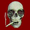 Smoking Skull
