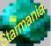 starm.jpg (2914 octets)