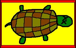 deadturtle.jpg (12497 bytes)