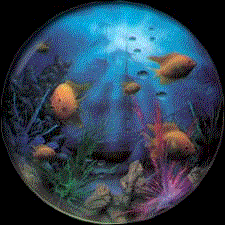 fish aqaurium