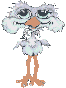 ostrich