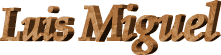 lm.gif (2898 bytes)
