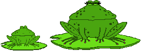 frogs