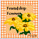 Angie's Square