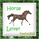 Horse Lover