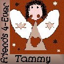 Tammy's Square