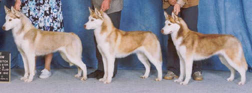 Dam and Progeny