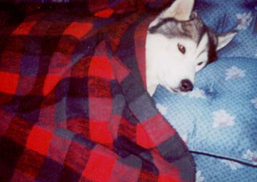 Ryley