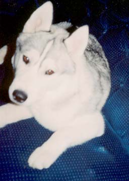 Ryley