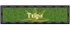 Trips