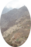 Distant view over terraces of Al Jabal al Akhdar