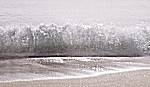 Breaking wave at Seifa