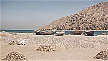 Drying fish on the beach