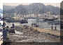 harbour.jpg (42018 bytes)