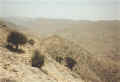 jabalqara.jpg (39699 bytes)