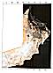 satellite image of Oman