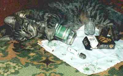 Drinking Much???