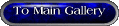 RETURN TO MAIN GALLERY ONLY!