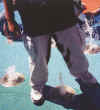 Rony_wet_his_pants.jpg (169919 bytes)