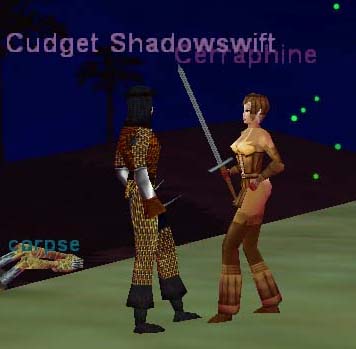 Mr. and Mrs. Shadowswift