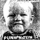 Punkenstein