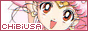 Proyect Support Chibiusa . Tsukino Chibiusa - SailorChibimoon