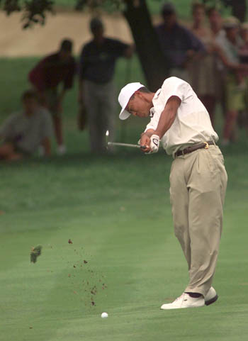 Tiger Woods