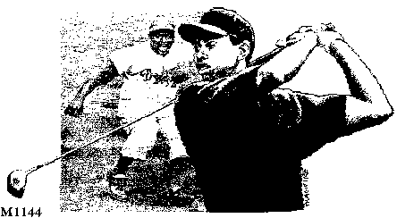 Tiger Woods
