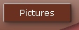 Pictures